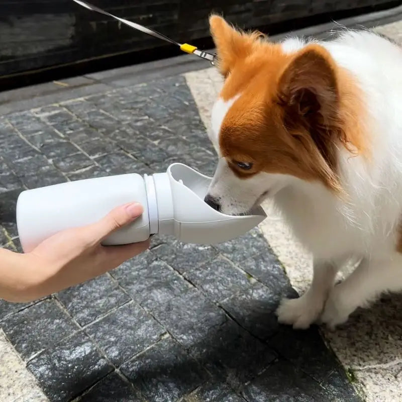 Garrafa de água dobrável de 550ml para animais de estimação